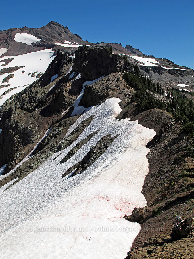 ridge west of Old Snowy Mountain [Goat Ridge saddle, Goat Rocks Wilderness, Lewis County, Washington]