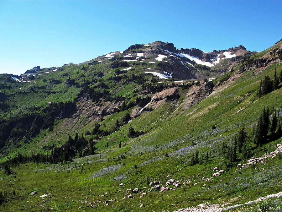 Goat Creek Valley [Lily Basin Trail, Goat Rocks Wilderness, Lewis County, Washington]