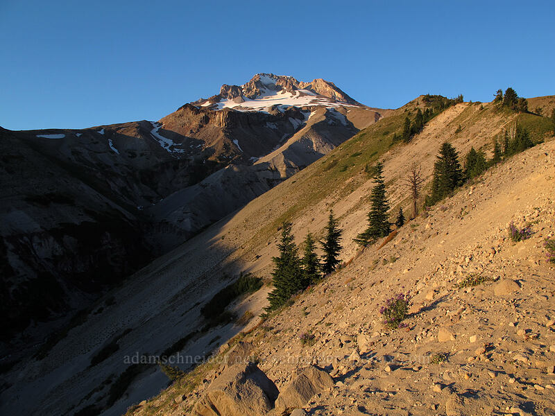 Zigzag Canyon [Timberline Trail/PCT, Mt. Hood Wilderness, Clackamas County, Oregon]