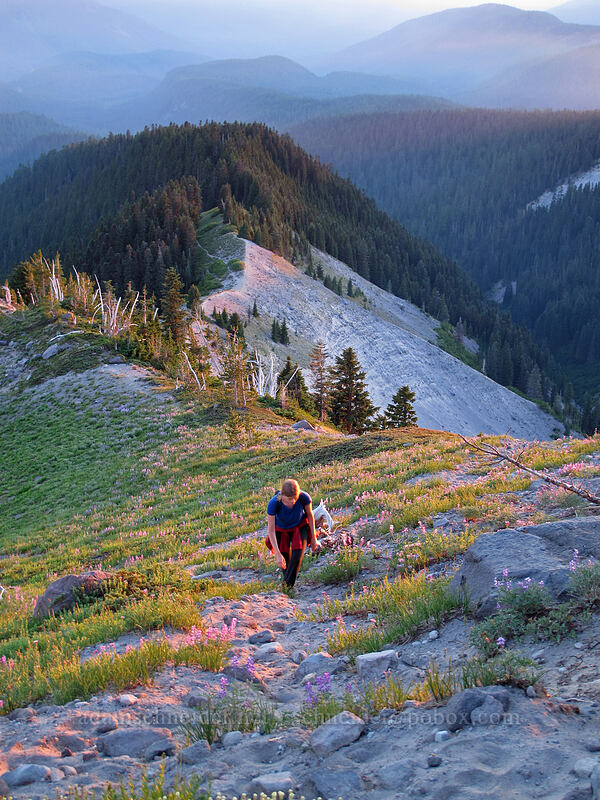 Allison [Zigzag Canyon, Mt. Hood Wilderness, Clackamas County, Oregon]