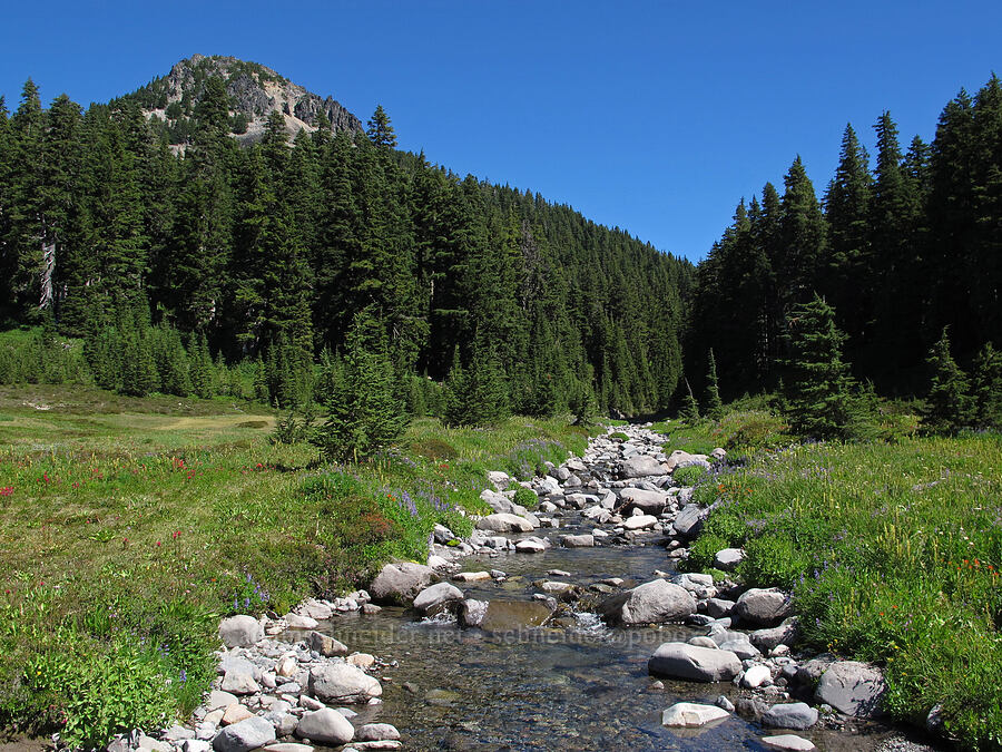 Park Butte & South Breitenbush River [South Breitenbush Trail, Mt. Jefferson Wilderness, Marion County, Oregon]