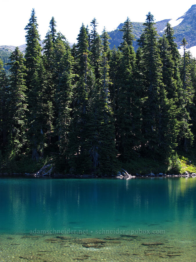 Scout Lake [Jefferson Park, Mt. Jefferson Wilderness, Marion County, Oregon]