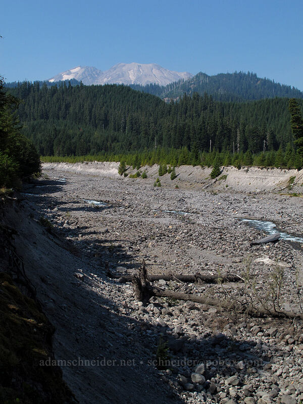 Mount St. Helens & the Muddy River [Lava Canyon Trail, Mt. St. Helens National Volcanic Monument, Skamania County, Washington]