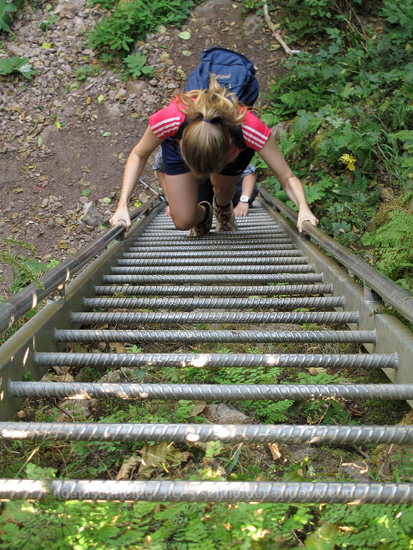 up the ladder [Lava Canyon Trail, Mt. St. Helens National Volcanic Monument, Skamania County, Washington]