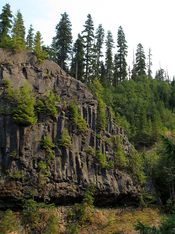 lava columns [Lava Canyon Trail, Mt. St. Helens National Volcanic Monument, Skamania County, Washington]