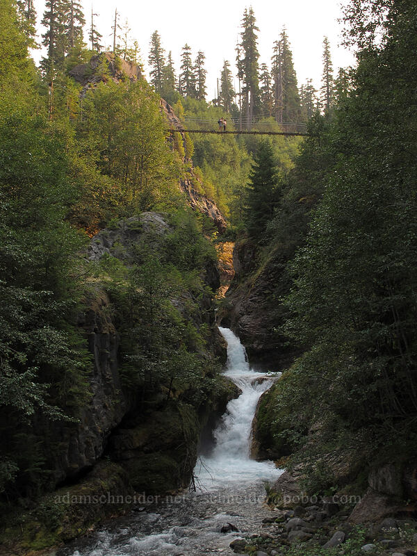cascades below the suspension bridge [Lava Canyon Trail, Mt. St. Helens National Volcanic Monument, Skamania County, Washington]