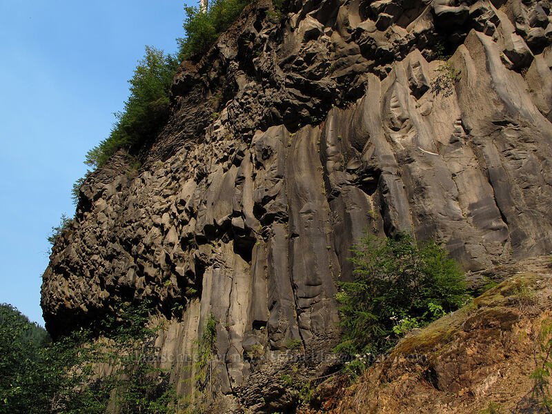 faces in the lava [Lava Canyon Trail, Mt. St. Helens National Volcanic Monument, Skamania County, Washington]