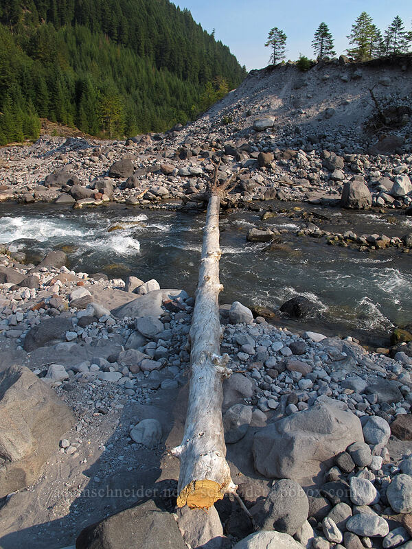 dry fallen tree crossing [Muddy River, Mt. St. Helens National Volcanic Monument, Skamania County, Washington]
