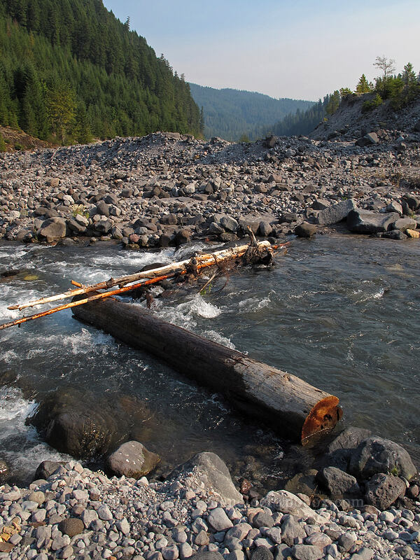 wet fallen tree crossing [Muddy River, Mt. St. Helens National Volcanic Monument, Skamania County, Washington]