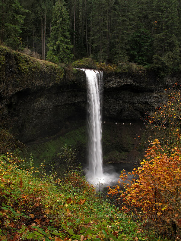 South Falls [Canyon Trail, Silver Falls State Park, Marion County, Oregon]