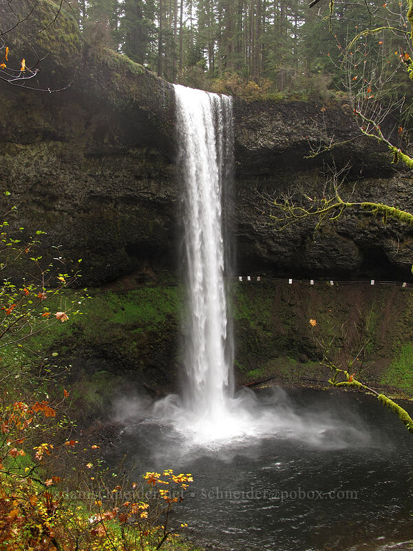 South Falls [Canyon Trail, Silver Falls State Park, Marion County, Oregon]