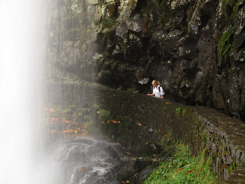 Lower South Falls [Canyon Trail, Silver Falls State Park, Marion County, Oregon]