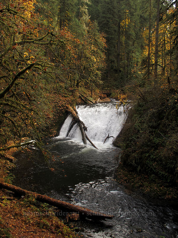 Lower North Falls [Canyon Trail, Silver Falls State Park, Marion County, Oregon]