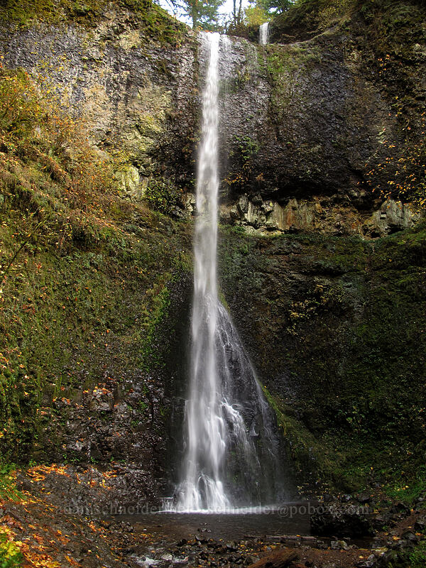 Double Falls [Canyon Trail, Silver Falls State Park, Marion County, Oregon]