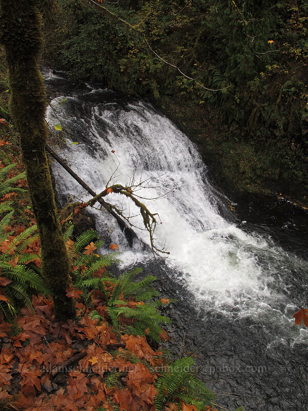 Drake Falls [Canyon Trail, Silver Falls State Park, Marion County, Oregon]