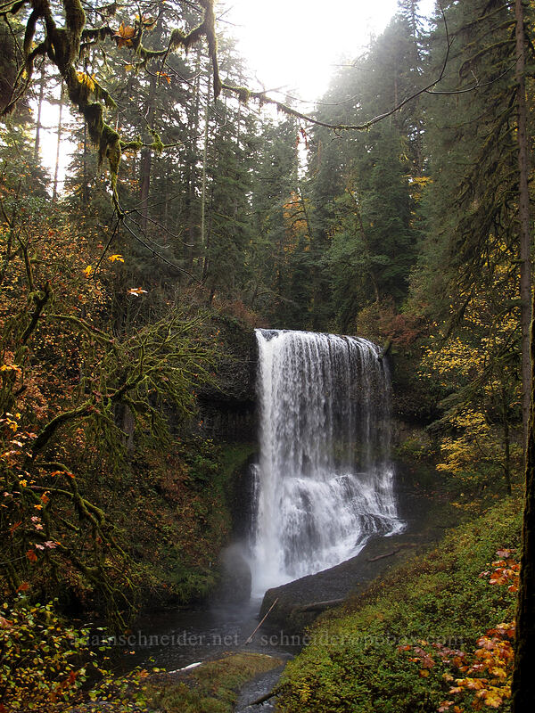 Middle North Falls [Canyon Trail, Silver Falls State Park, Marion County, Oregon]