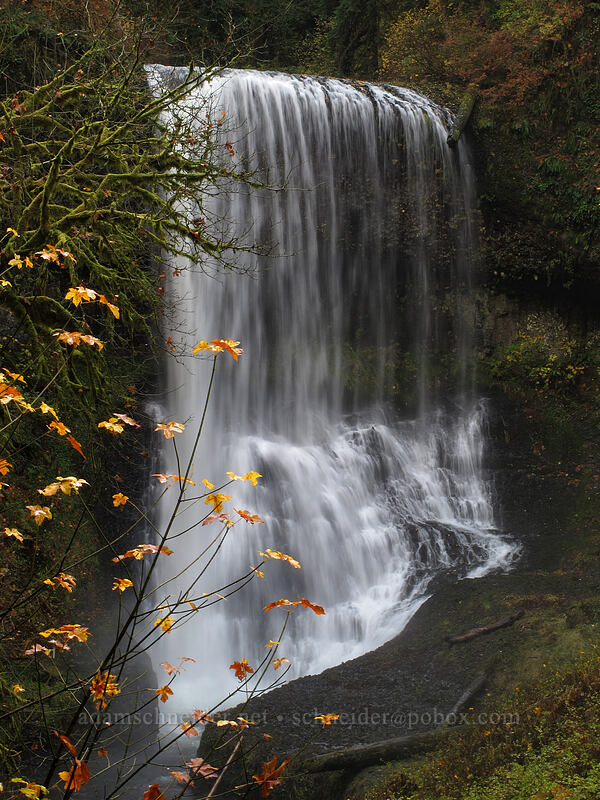 Middle North Falls [Canyon Trail, Silver Falls State Park, Marion County, Oregon]