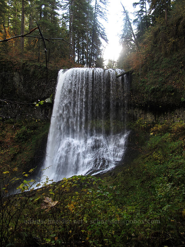 Middle North Falls [Canyon Trail, Silver Falls State Park, Marion County, Oregon]