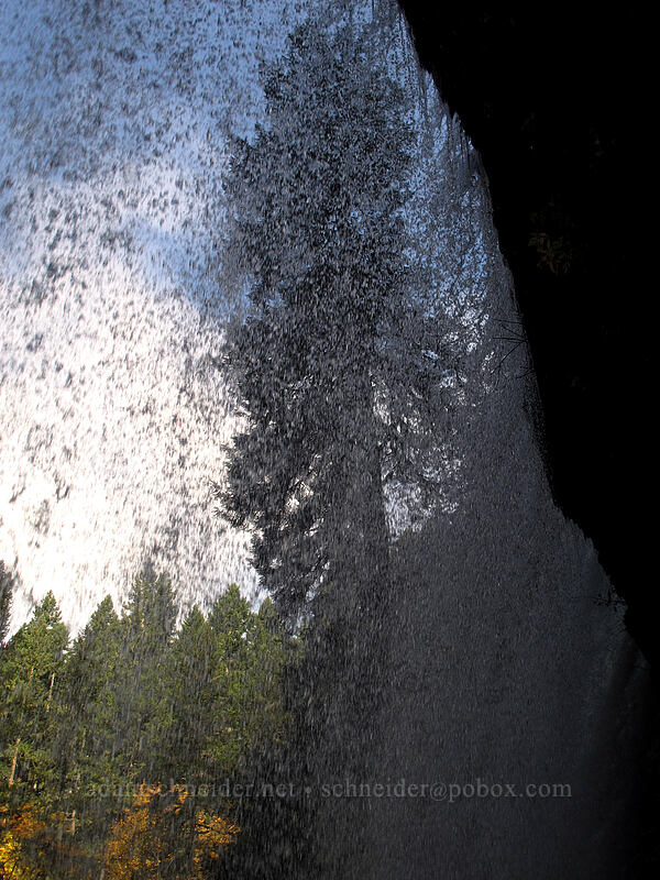 Middle North Falls [Canyon Trail, Silver Falls State Park, Marion County, Oregon]