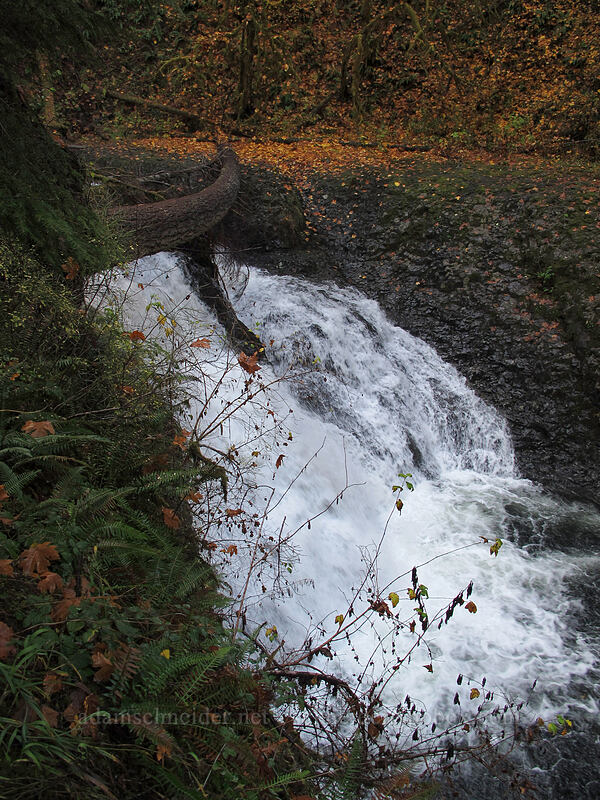 Twin Falls [Canyon Trail, Silver Falls State Park, Marion County, Oregon]