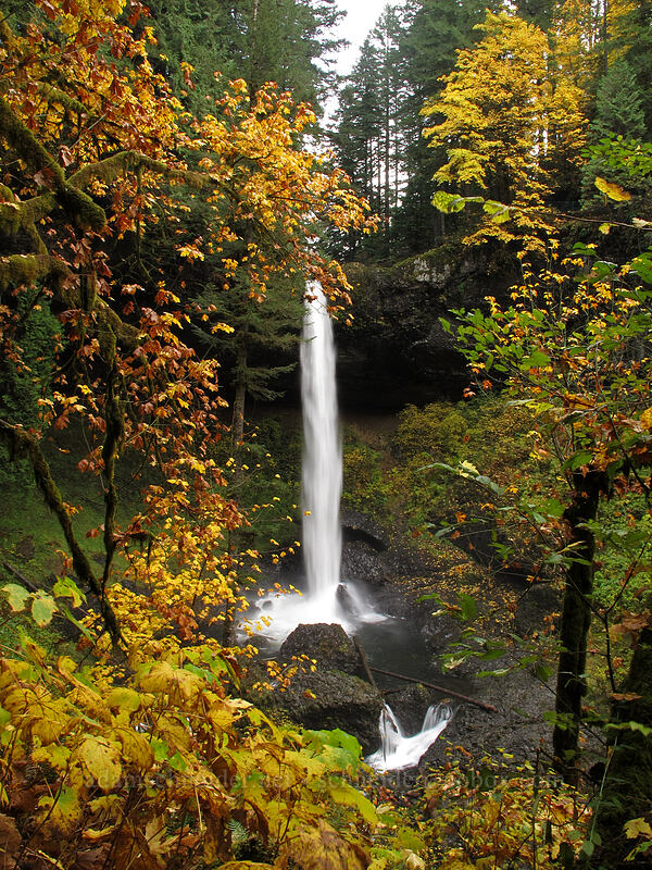 North Falls [Canyon Trail, Silver Falls State Park, Marion County, Oregon]