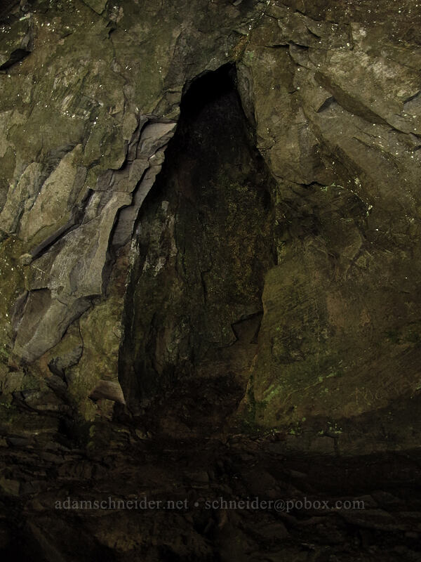 fossil tree cavity in basalt [Canyon Trail, Silver Falls State Park, Marion County, Oregon]