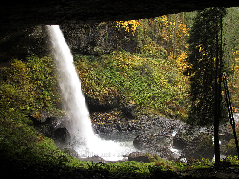 North Falls [Canyon Trail, Silver Falls State Park, Marion County, Oregon]
