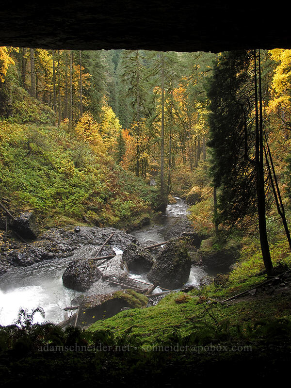 Silver Creek below North Falls [Canyon Trail, Silver Falls State Park, Marion County, Oregon]