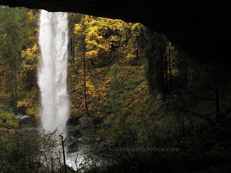 North Falls [Canyon Trail, Silver Falls State Park, Marion County, Oregon]