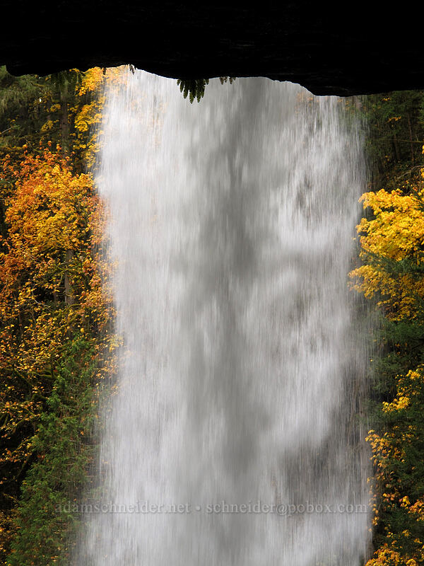 North Falls [Canyon Trail, Silver Falls State Park, Marion County, Oregon]