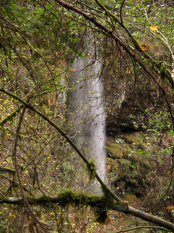 Winter Falls [Winter Trail, Silver Falls State Park, Marion County, Oregon]
