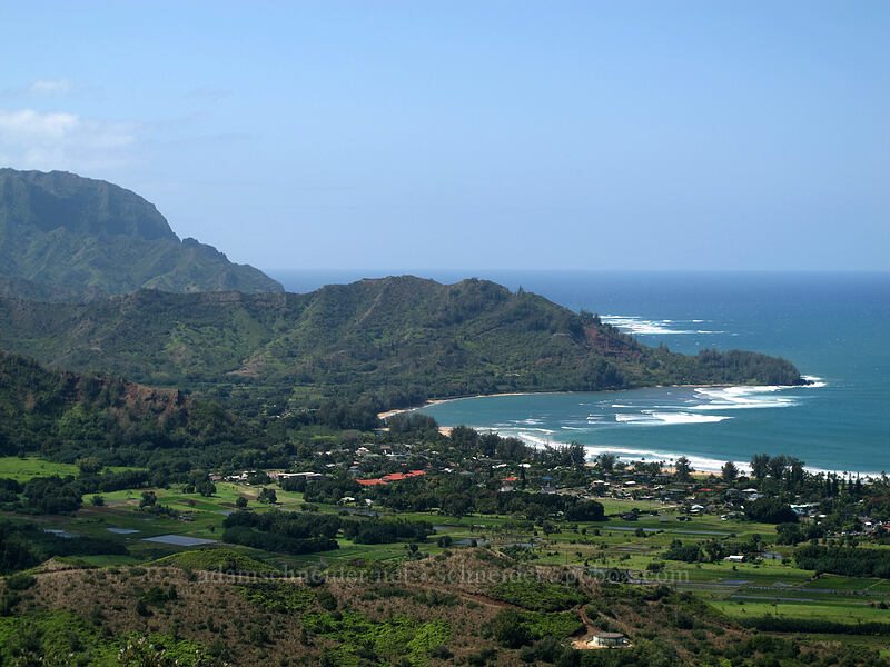 Pu'u Ka Manu ['Okolehao Trail, Hanalei, Kaua'i, Hawaii]