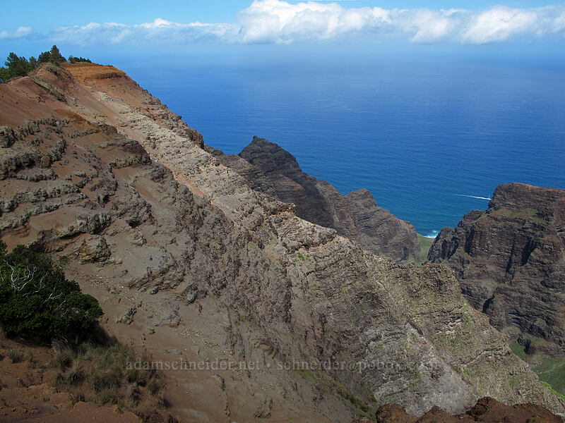 south side of Nu'alolo Valley [Nu'alolo Trail, Na Pali-Kona Forest Reserve, Kaua'i, Hawaii]
