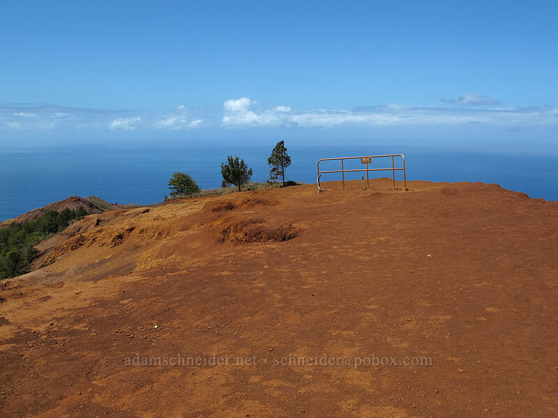 end of the official trail [Lolo Vista, Na Pali-Kona Forest Reserve, Kaua'i, Hawaii]