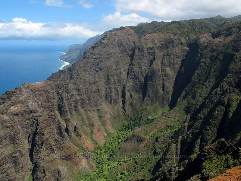 Na Pali Coast & Nu'alolo Valley [Lolo Vista, Na Pali-Kona Forest Reserve, Kaua'i, Hawaii]
