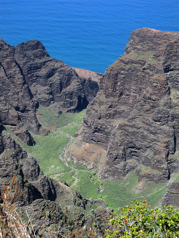 Nu'alolo Valley [Nu'alolo Cliffs Trail, Na Pali-Kona Forest Reserve, Kaua'i, Hawaii]
