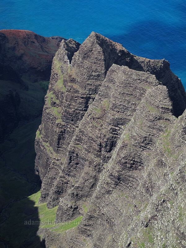 north side of Awa'awapuhi Valley [Awa'awapuhi Vista, Na Pali-Kona Forest Reserve, Kaua'i, Hawaii]