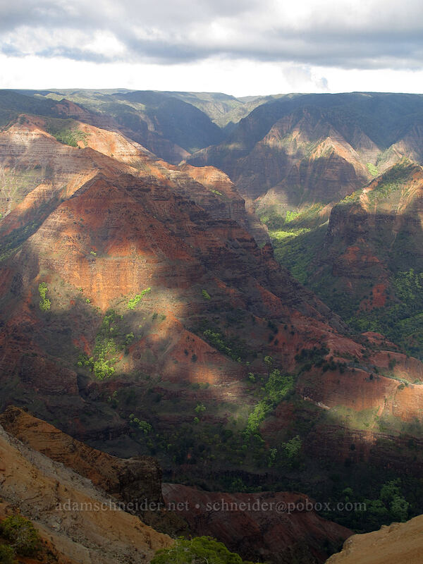 Kahililoa & Koai'e Canyon [Koke'e Road, Waimea Canyon State Park, Kaua'i, Hawaii]