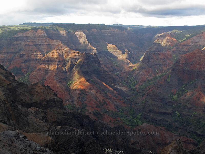 Po'omau Canyon [Waimea Canyon Lookout, Waimea Canyon State Park, Kaua'i, Hawaii]