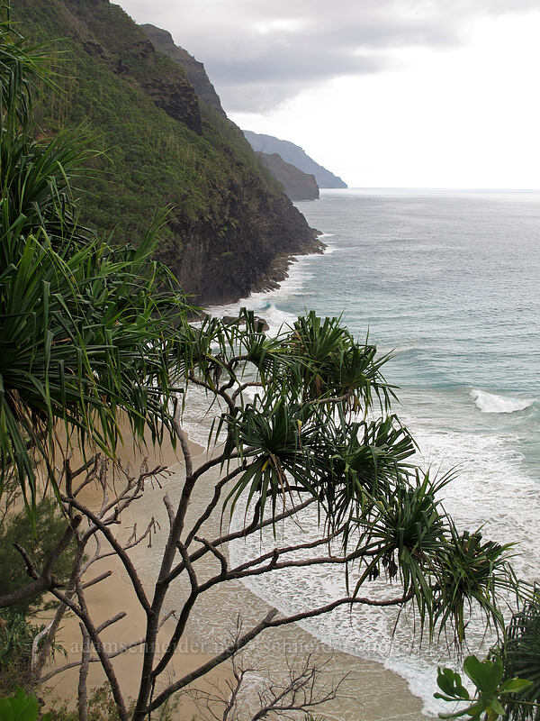 Hanakapi'ai Beach [Kalalau Trail, Na Pali Coast State Park, Kaua'i, Hawaii]