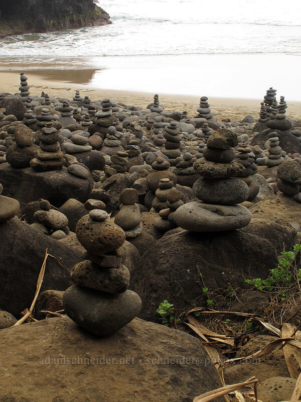 cairns gone wild [Hanakapi'ai Beach, Na Pali Coast State Park, Kaua'i, Hawaii]