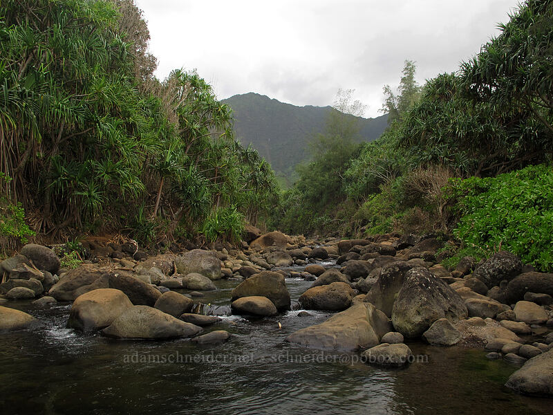 Hanakapi'ai Stream [Hanakapi'ai Beach, Na Pali Coast State Park, Kaua'i, Hawaii]