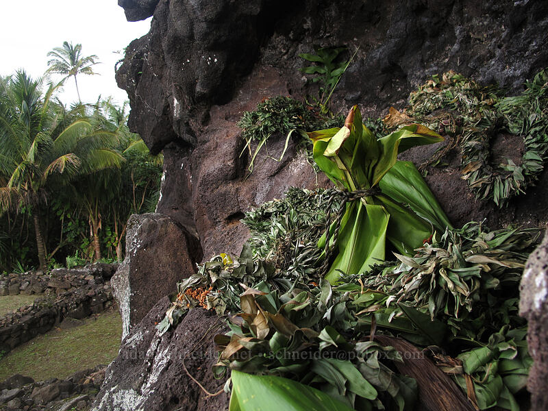 offerings to Laka [above Ke'e Beach, Ha'ena State Park, Kaua'i, Hawaii]