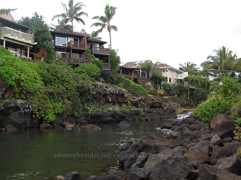 Waikomo Stream [Koloa Landing, Po'ipu, Kaua'i, Hawaii]
