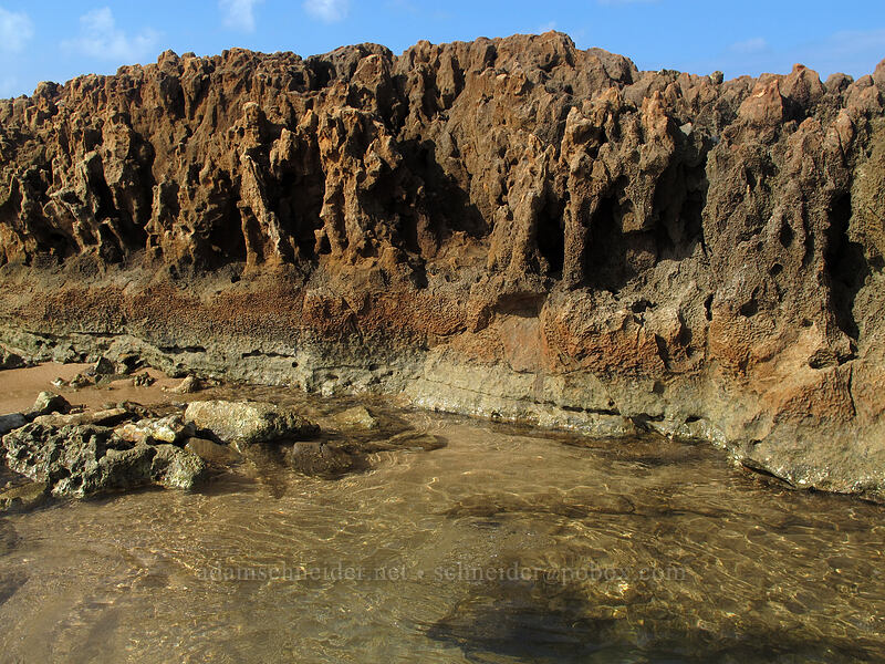 rocky reef [Salt Pond Beach Park, Hanapepe, Kaua'i, Hawaii]