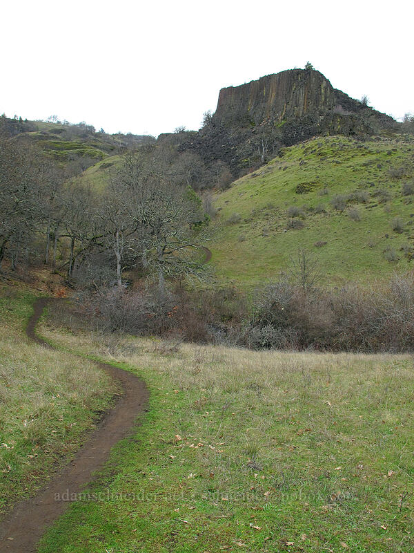 columnar basalt [The Labyrinth, Klickitat County, Washington]