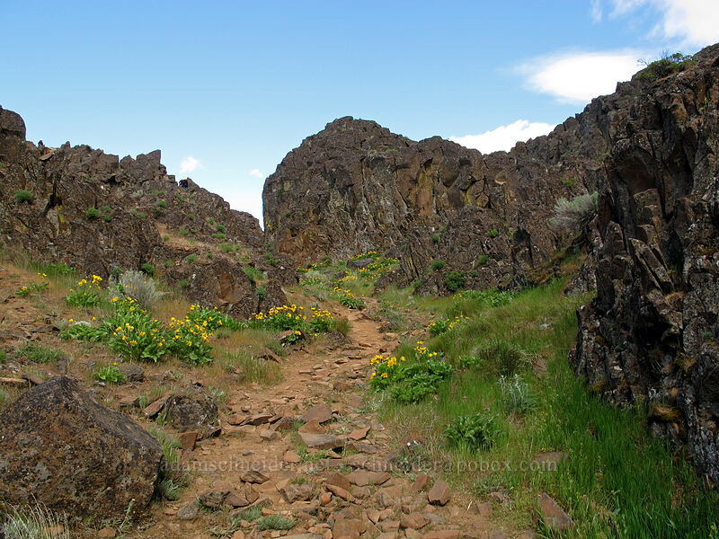 Horsethief Butte [Columbia Hills State Park, Klickitat County, Washington]