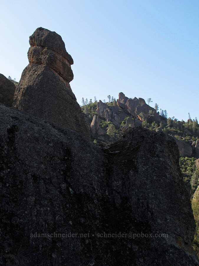 Alfred Hitchcock? [Juniper Canyon Trail, Pinnacles National Park, San Benito County, California]