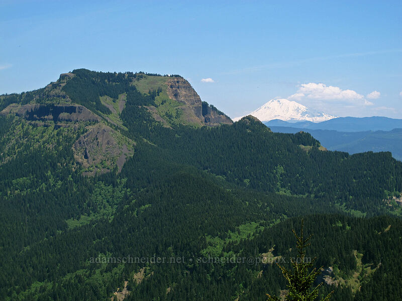 Table Mountain & Mt. Adams [Hamilton Mountain Summit, Beacon Rock State Park, Skamania County, Washington]