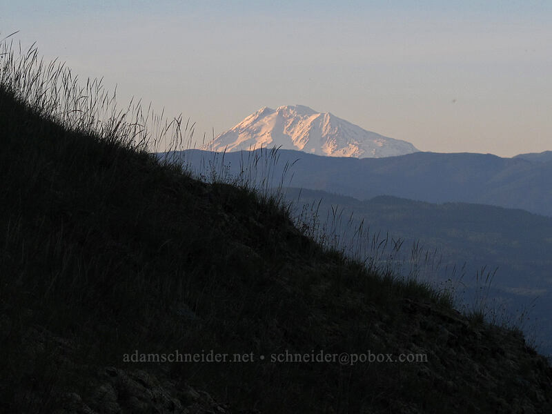 Mount Adams [Munra Point, John B. Yeon State Park, Multnomah County, Oregon]